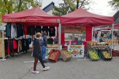 Stands parallèles